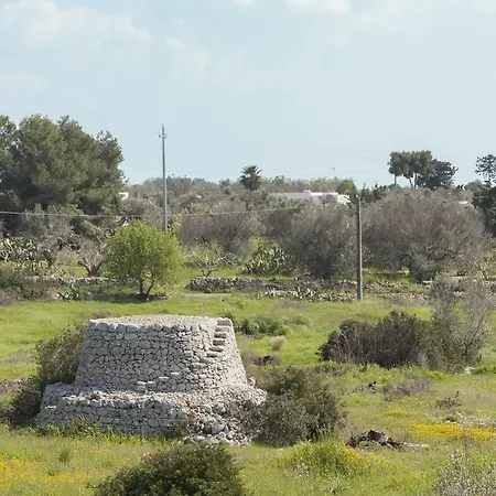Mare Azzurro * 托雷苏达