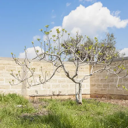 Mare Azzurro 公寓 *