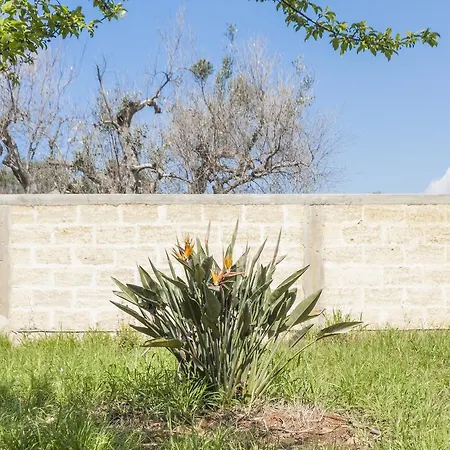 Mare Azzurro * 토레 수다